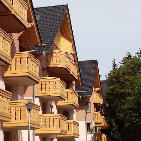 דירות שצ'קלארסקה פוראובה Apartament Podgorze 21 מראה חיצוני תמונה